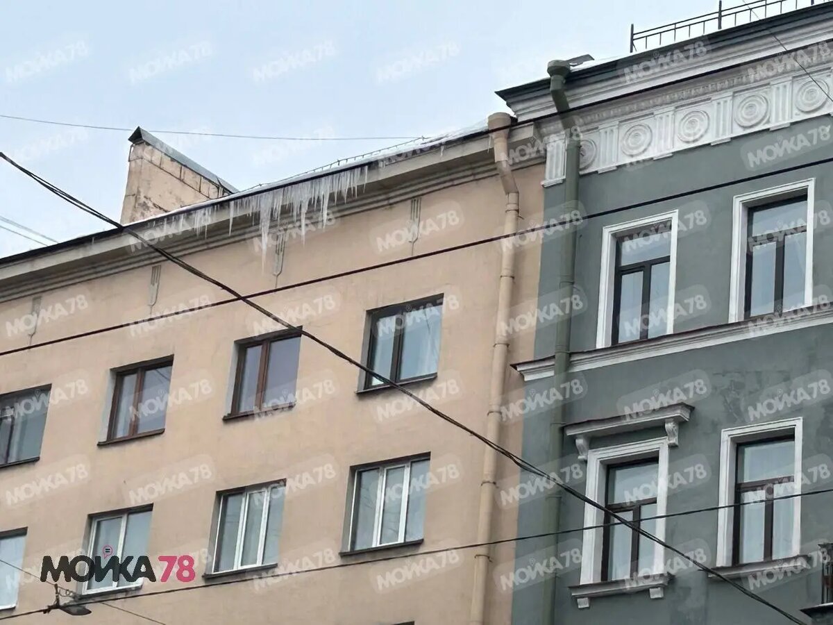    Фото: читательница Мойки78