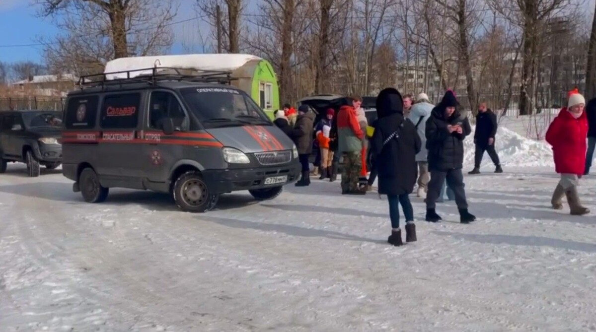     / Источник: t. me/salvaree