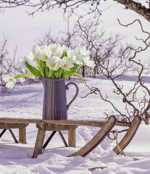 Замёрзший мир весну с надеждой ждёт