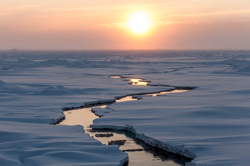 Фото: Alfred-Wegener-Institut / Mario Hoppmann