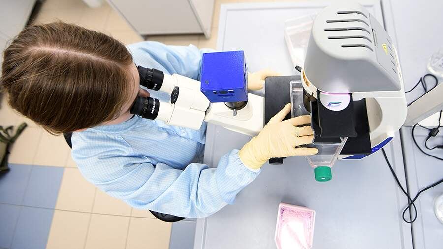    Фото: РИА Новости/Максим Богодвид