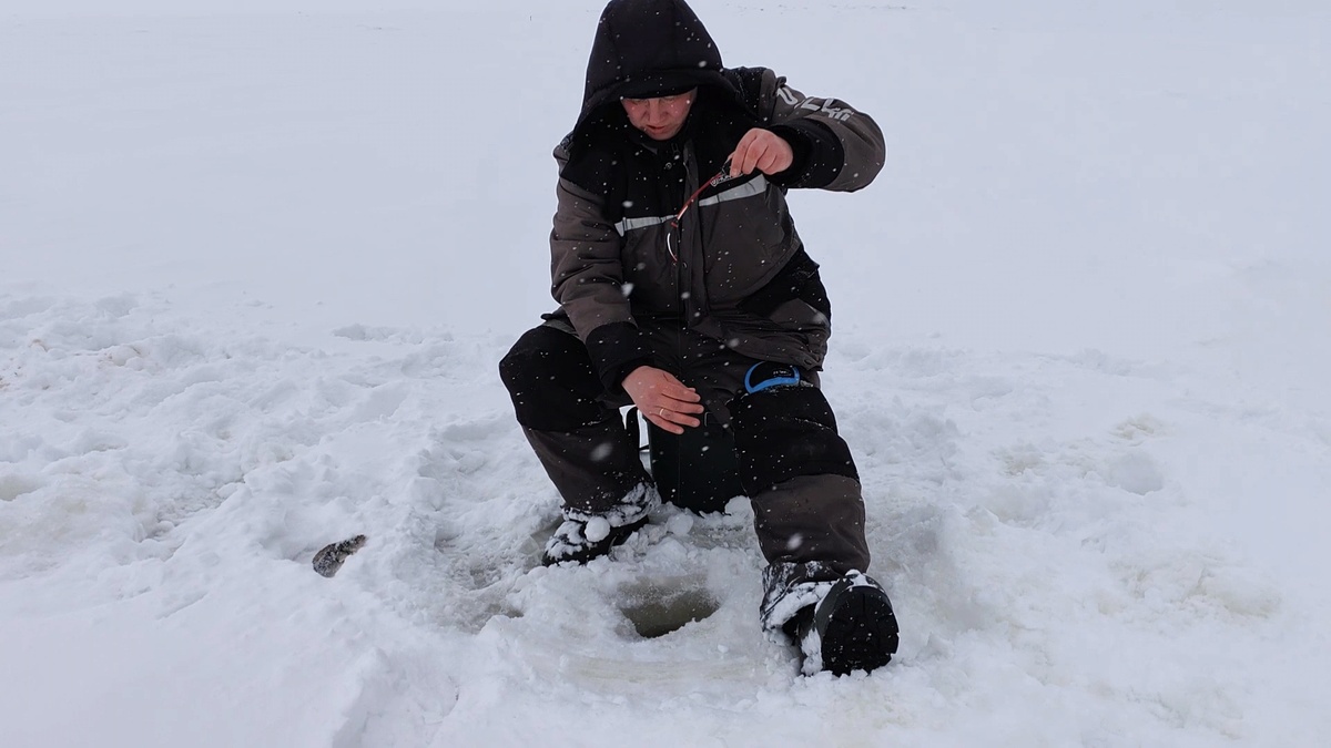 Поклёвка и подсечка окуня. Поиск окуня.