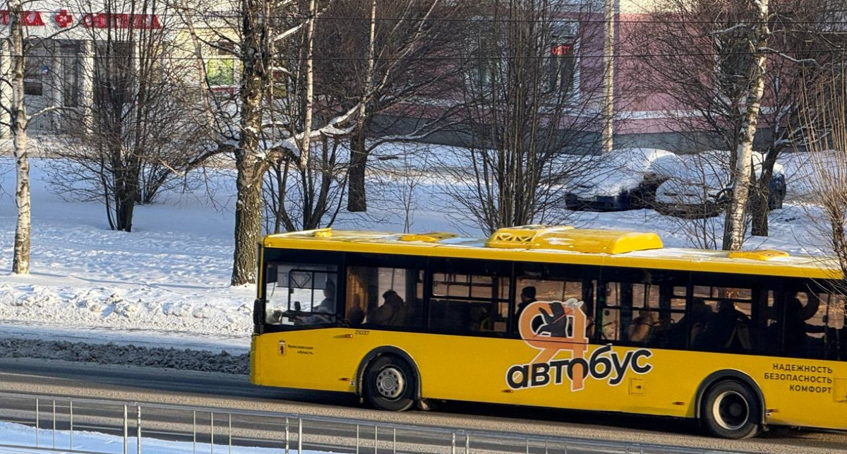    организатор перевозок Яо