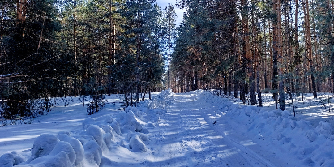 Побывав в лесу, поняли, что после 28 февраля будет 29 -е, 30-е, 31-е и так до 45-го. Снега ооочень много!