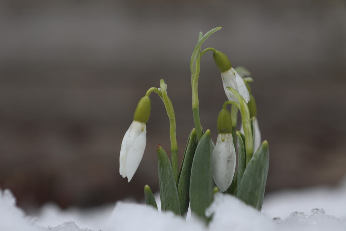 Фото: Роман Пименов / «Петербургский дневник»