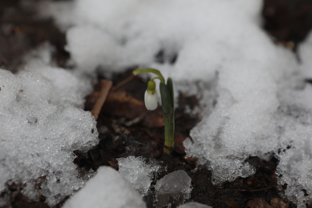 Фото: Роман Пименов / «Петербургский дневник»