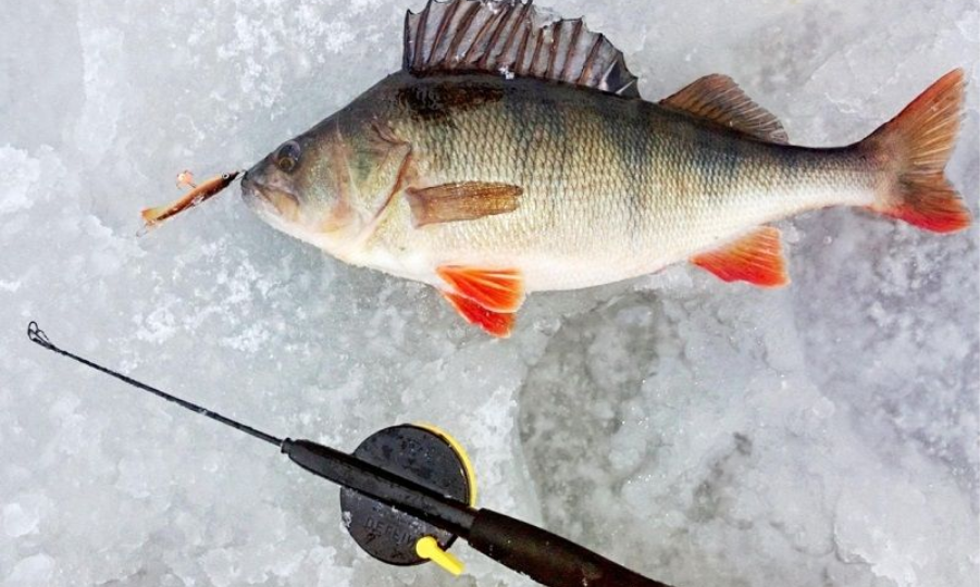 Почему не стоит использовать ароматизаторы зимой (и когда они всё же работают)