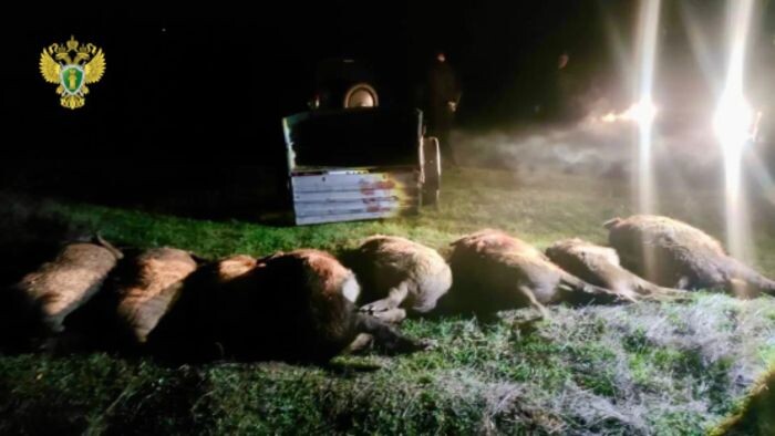 Иллюстрация: Прокуратура Ростовской области