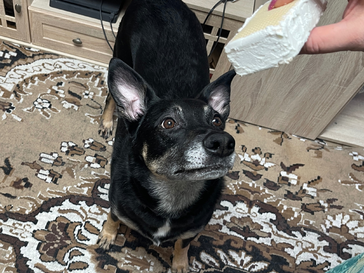 Ну посмотрите же! Посмотрите! Оно такое... Такое!.. Ну прям ма-а-анит меня 🥹!..