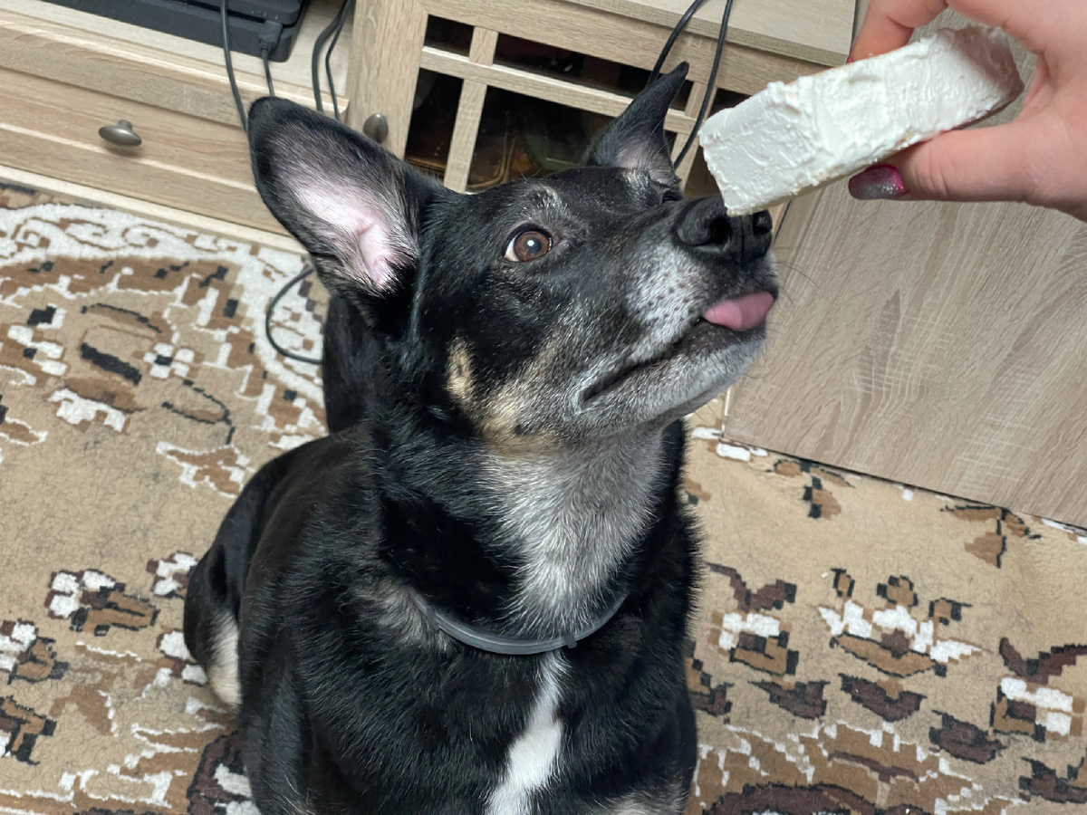 Ну посмотрите, какое оно вкусное 😋! Ну... Ну!.. Только один разок лизну! Пожалуйста 🥺!