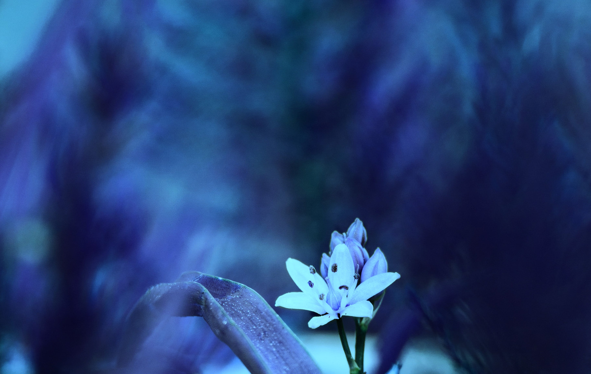 Фото: Alexandra Fernandes с сайта unsplash.com