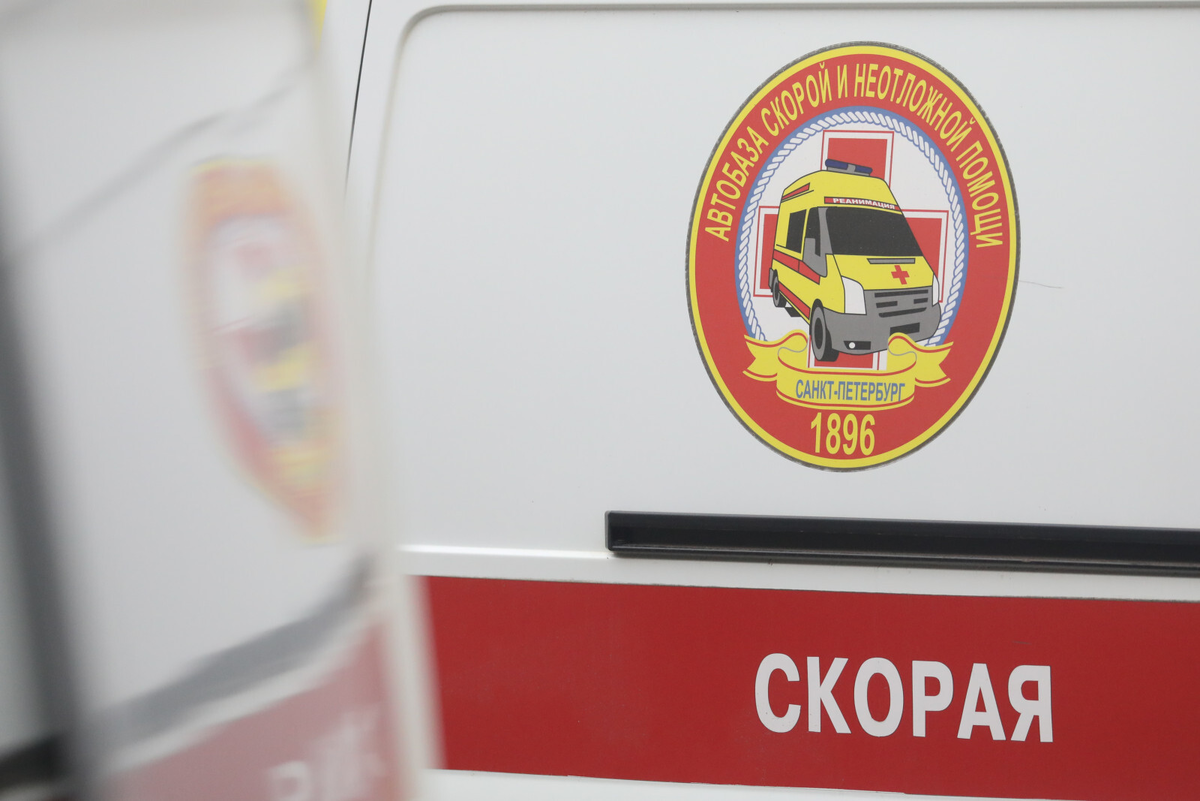 Фото: Александр Глуз / «Петербургский дневник»