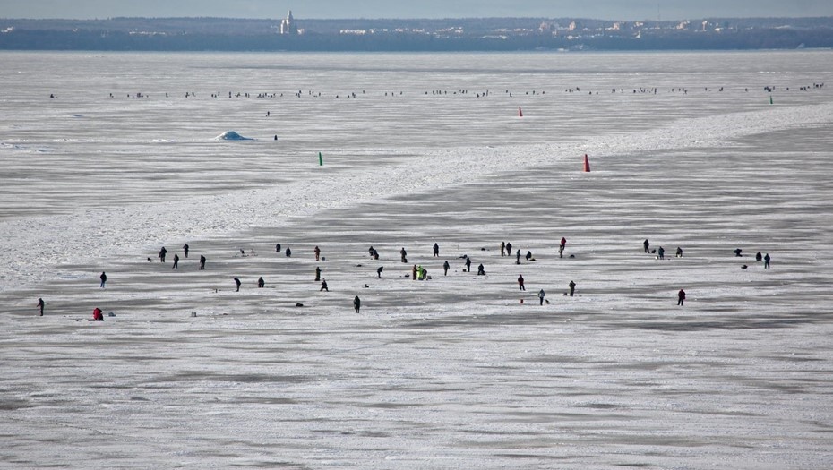    Россия. Санкт-Петербург. Рыбаки на льду Финского залива. Автор фото: Ваганов Антон