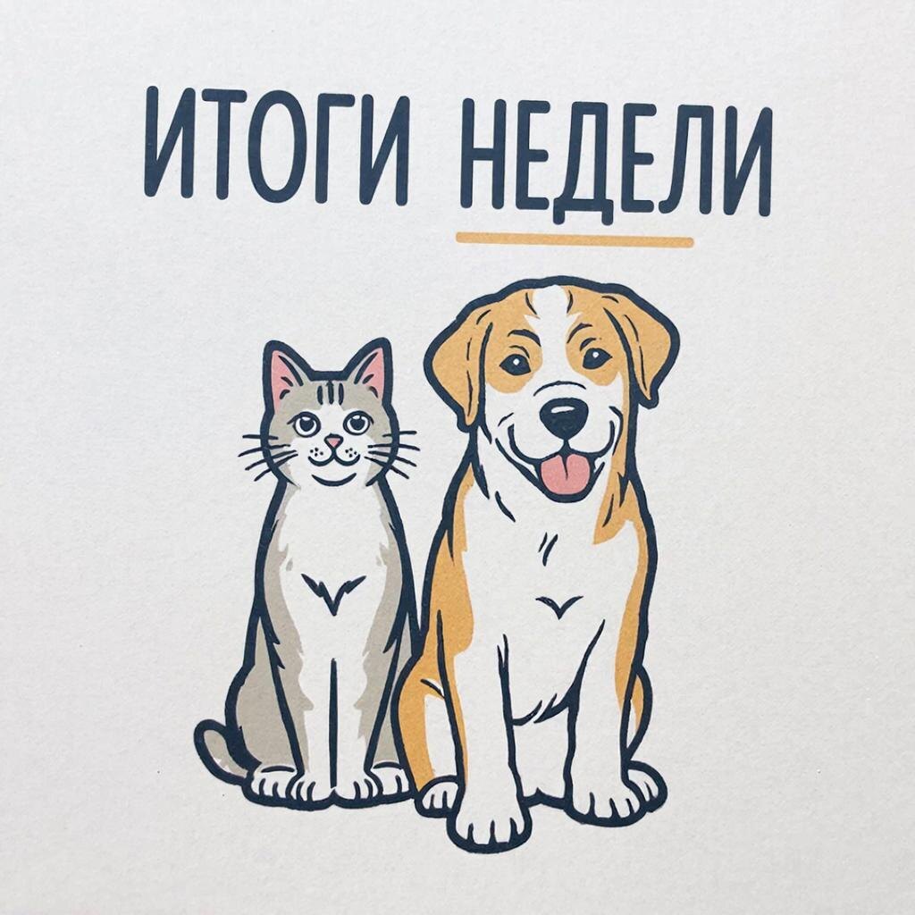 И начали они подводить итоги)) 