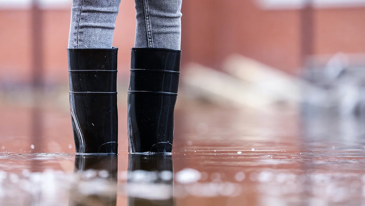   Сергей Булкин / ТАСС