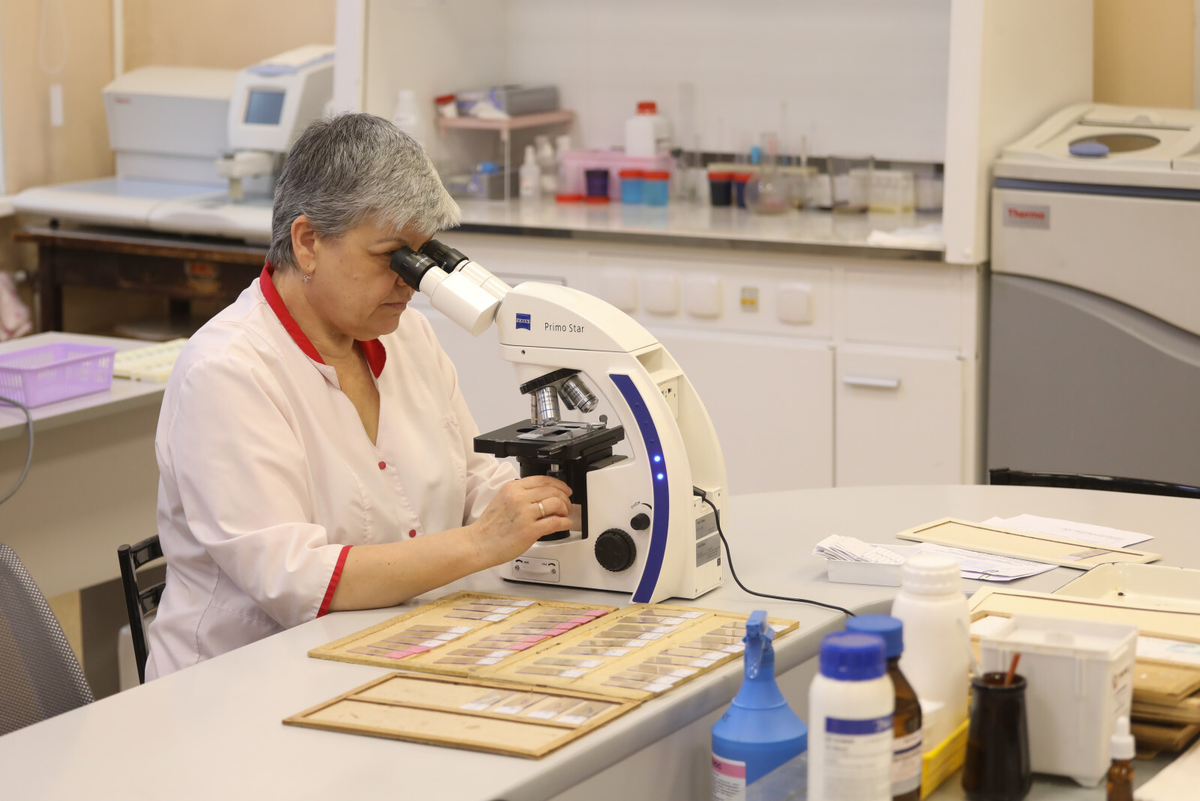 Фото: Александр Глуз / «Петербургский дневник»