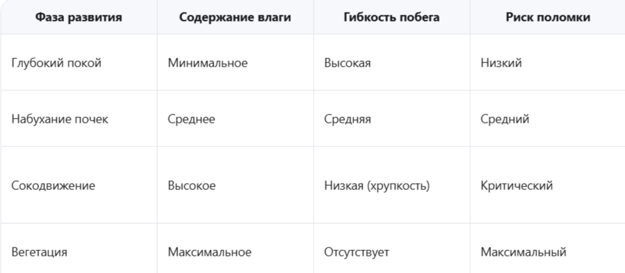 Изменение свойств побега в зависимости от фазы