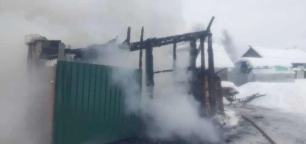    Фото: Госкомитет Карелии по ОЖ и БН