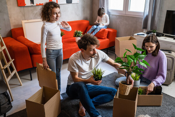 Miljan Zivkovic/Shutterstock/FOTODOM   📷