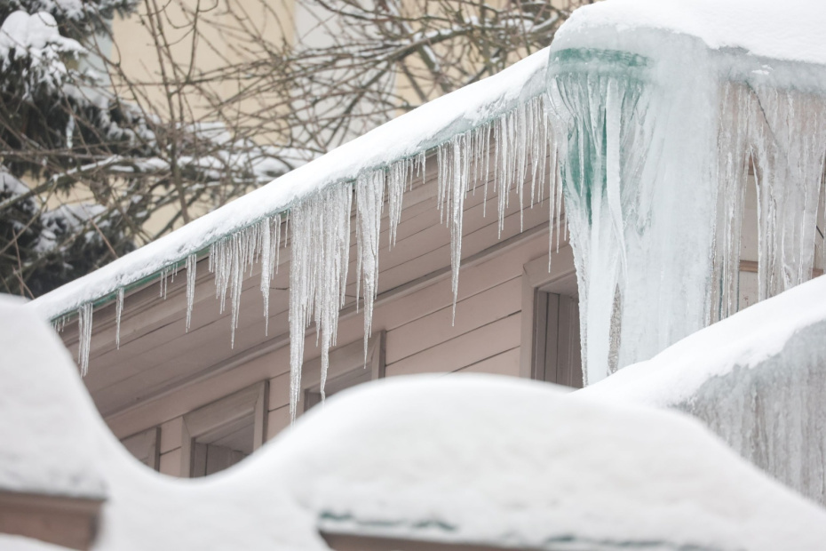    Наталья Шатохина/NEWS.ru