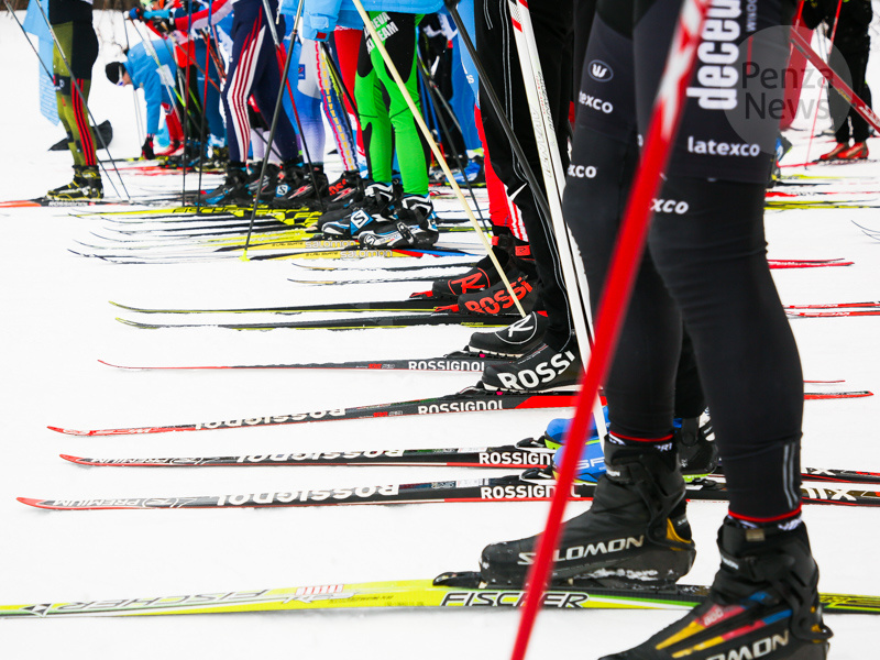    © Фото из архива ИА «PenzaNews»