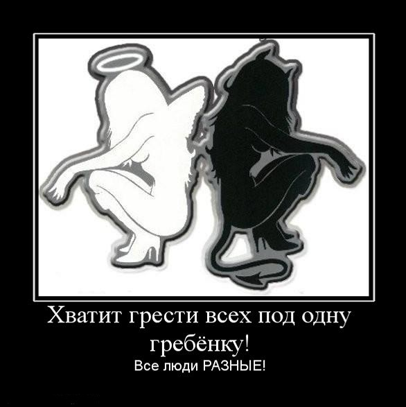 картинка из сети