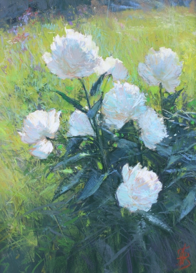 ����� �����