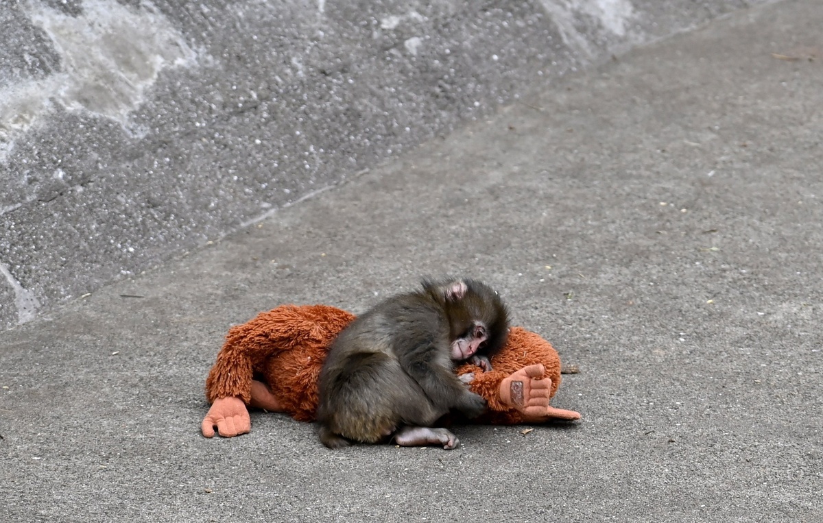 Anadolu via Reuters Connect