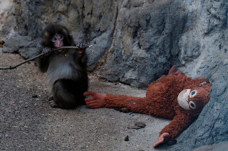    REUTERS/Kim Kyung-Hoon