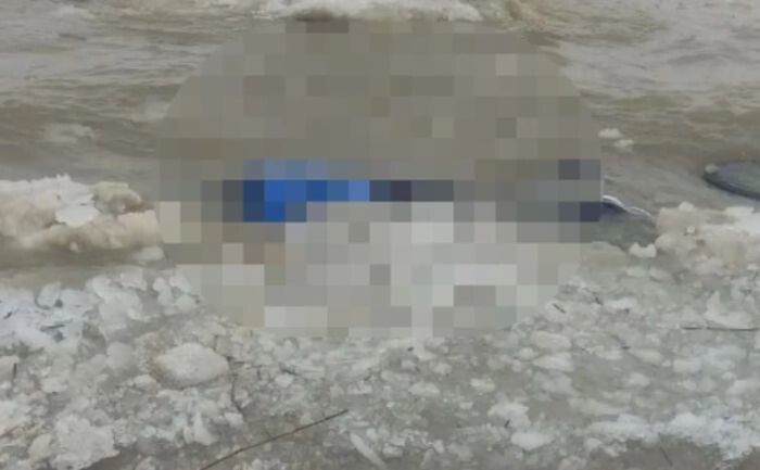 Иллюстрация: ГУ МЧС РФ по РО