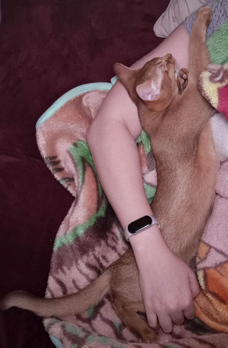 Заснула днем на диване, а проснулась уже не одна))