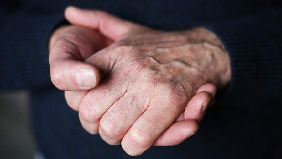    Фото: ИЗВЕСТИЯ/Юлия Майорова