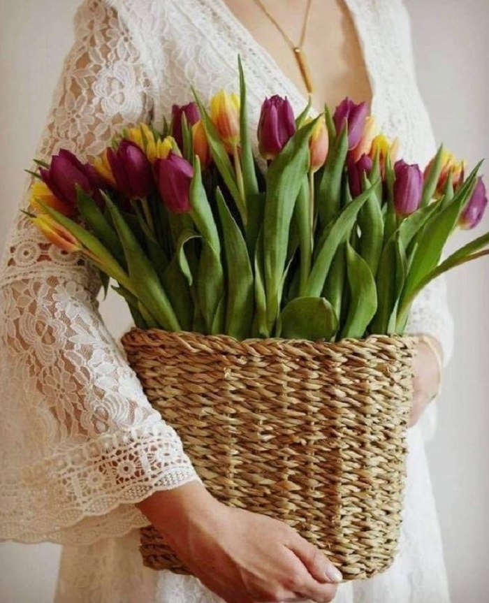 Весна идёт — весне дорогу! А вместе с ней — любимая рассада и долгожданный праздник.