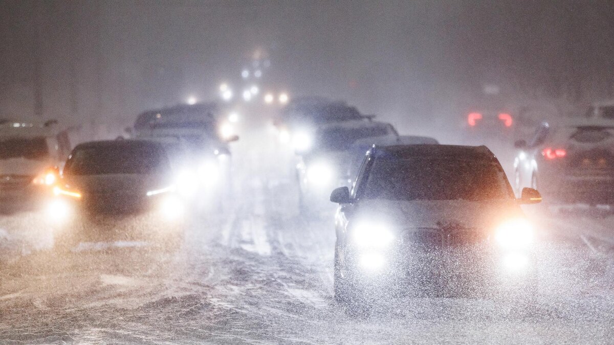    Фото: Sergey Elagin/globallookpress.com