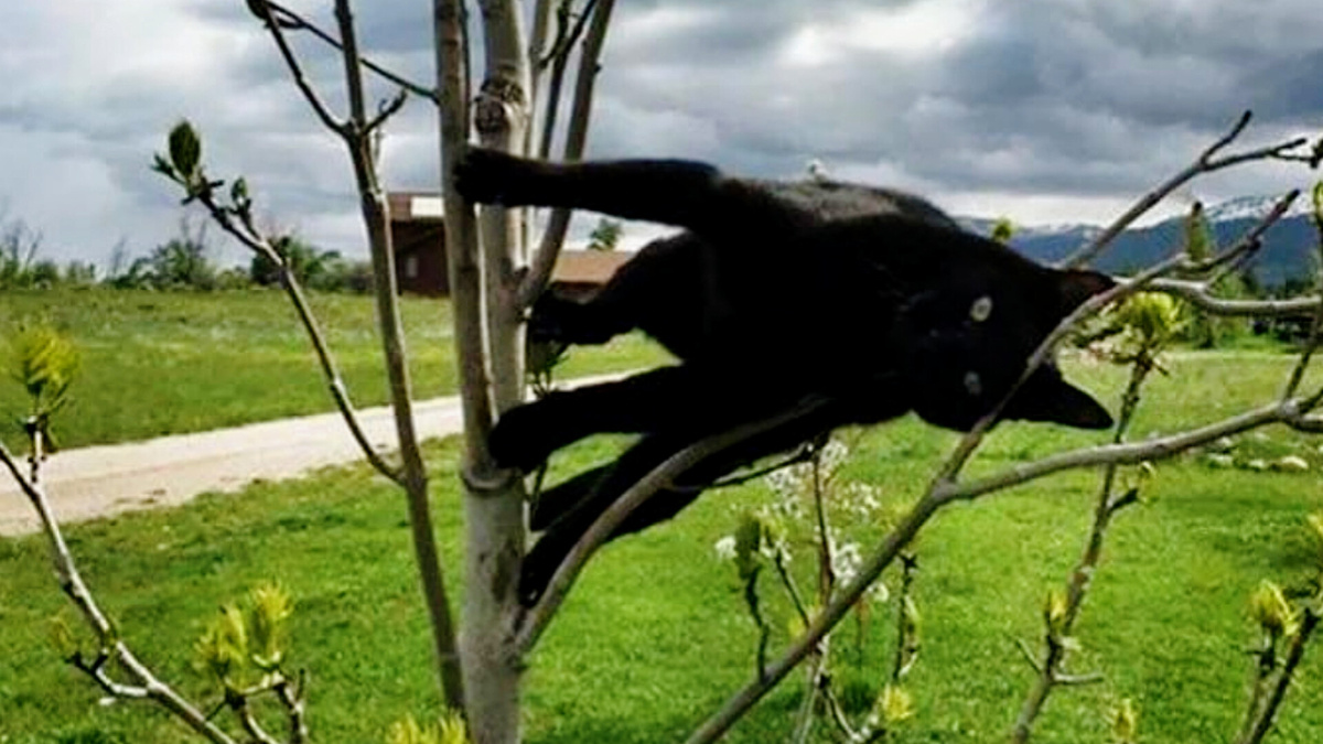 Хе-хе, вам уже страшно?! ЕЩЕ фото --->>