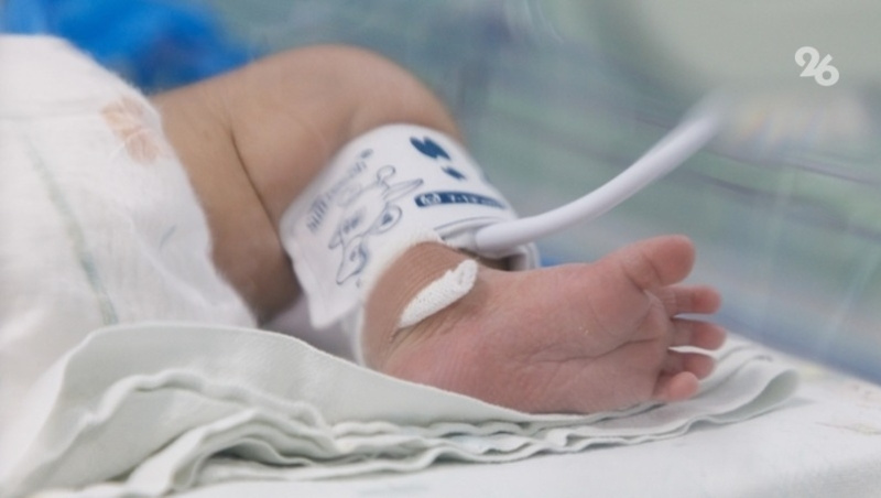      Фото: Дмитрий Ахмадуллин / / ИА «Победа26»