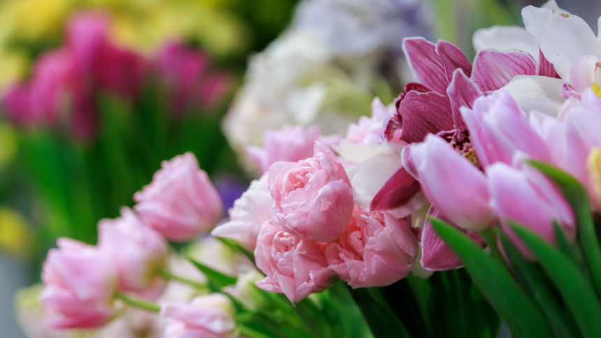    Фото: www.globallookpress.com/Sergey Elagin