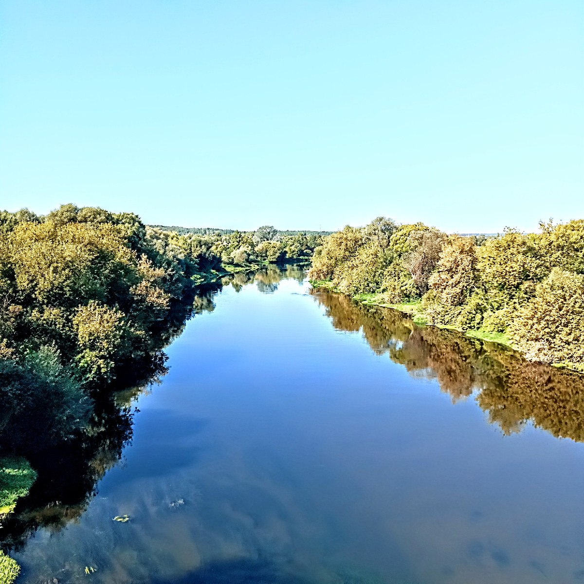 Москва-река. Вид с моста. 