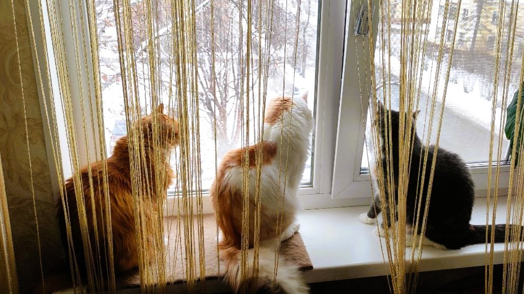 ///не два, а три-четыре-пять...  — целая компания друзей!