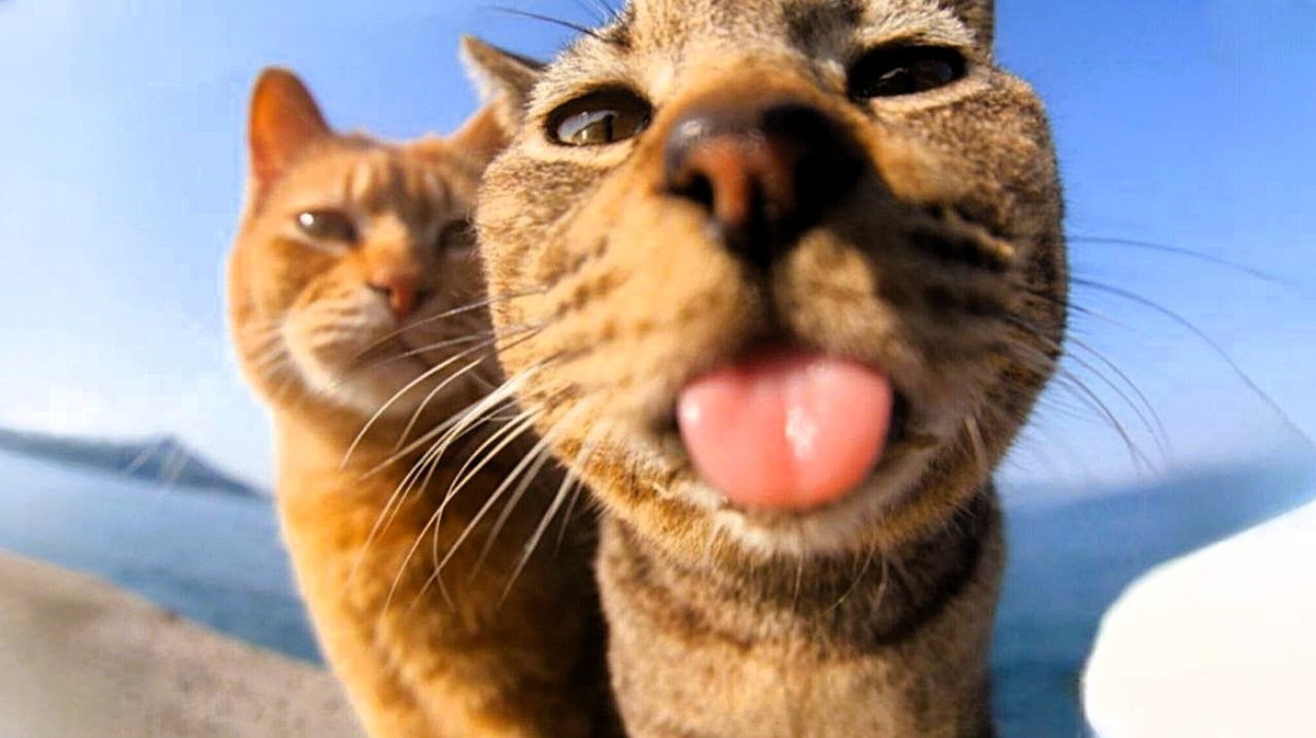 Может и два, а может и.... Еще фото --->>