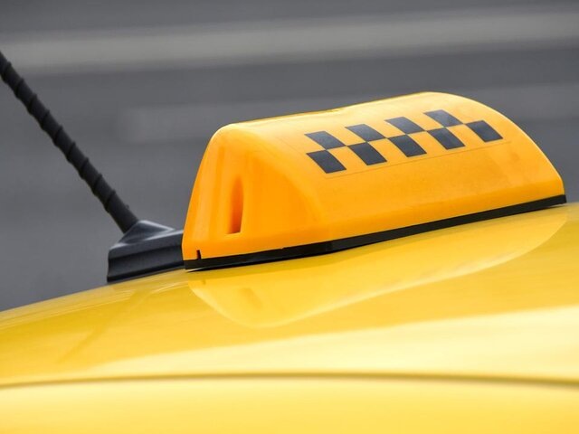    Фото: Москва 24/Антон Великжанин