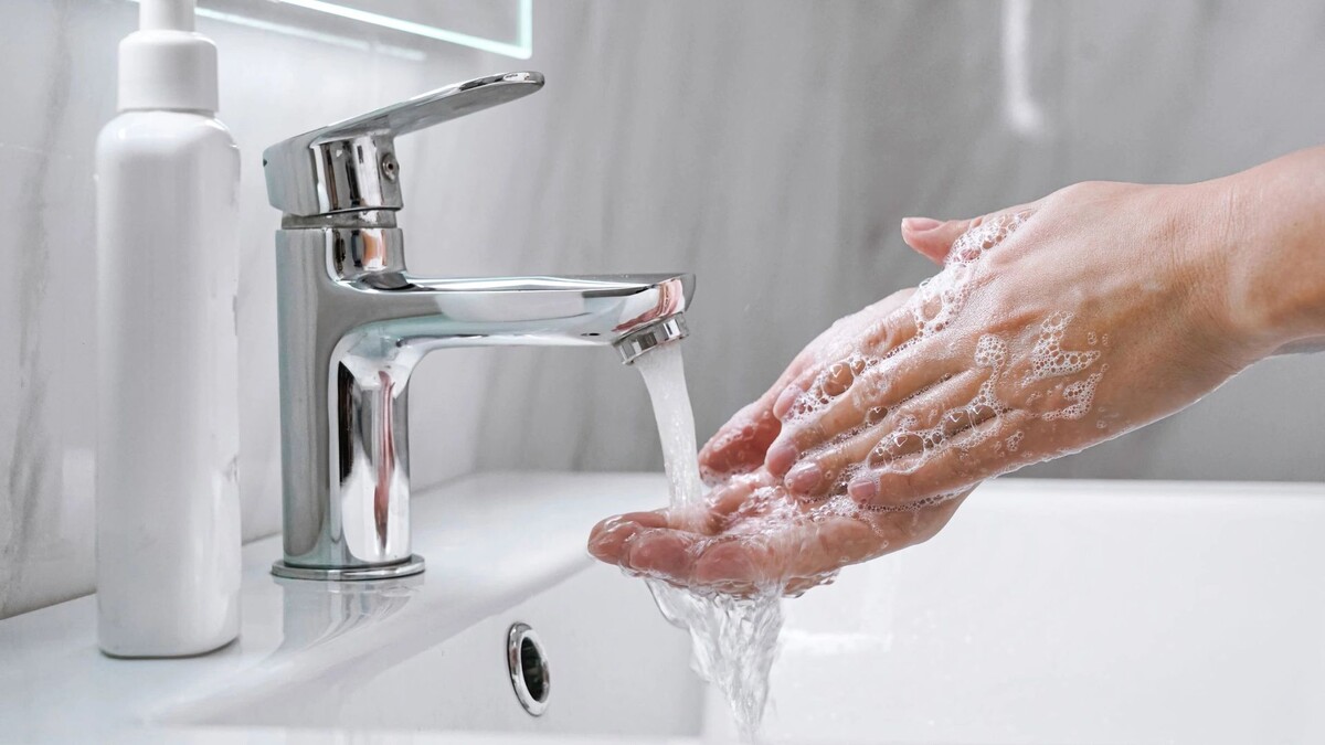    Фото: Ground Picture / Shutterstock/Fotodom