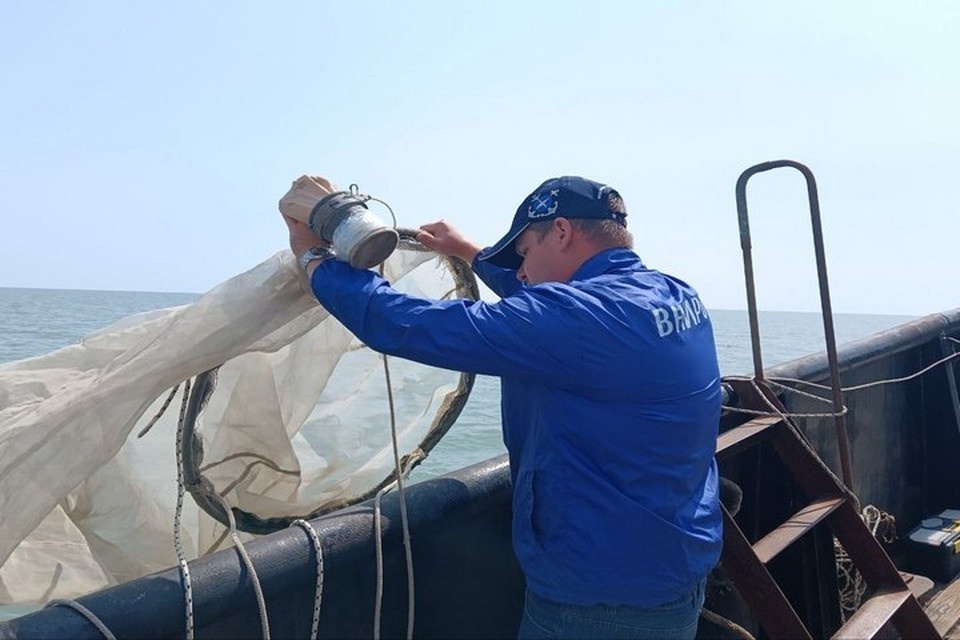    Ученые постоянно следят за состоянием Азовского моря. Фото: ВНИРО
