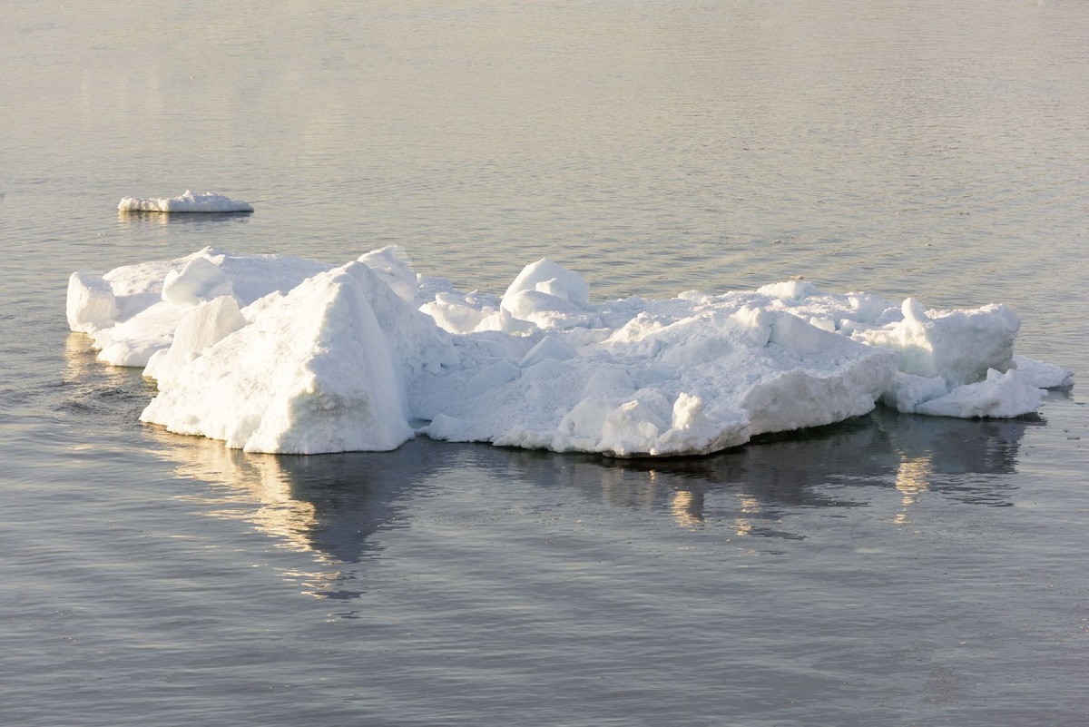    Фото: Istock/Explora_2005