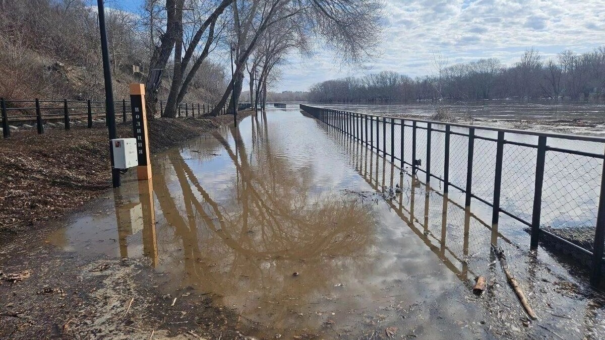    Прогнозы на предстоящий паводок в Оренбуржье   56orb.ru