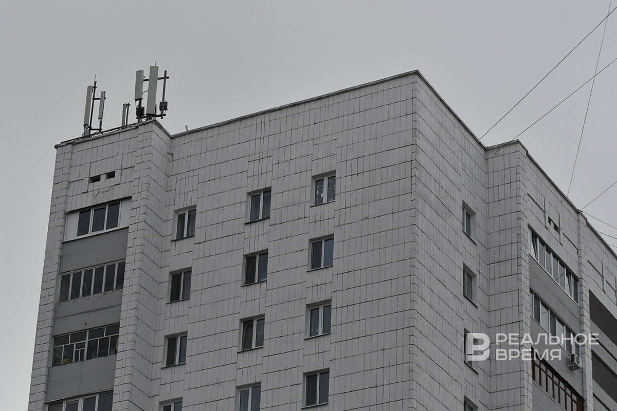   Максим Платонов / realnoevremya.ru