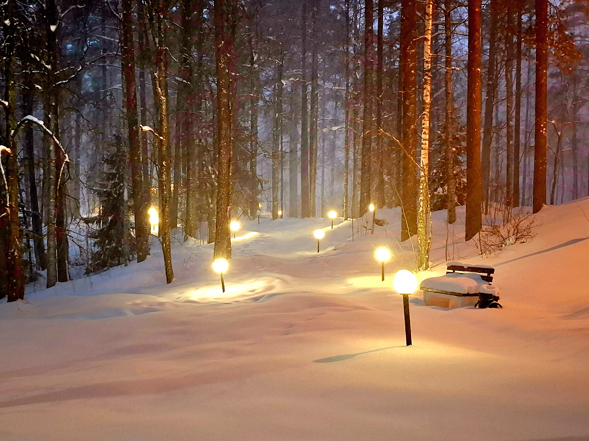 Фото автора