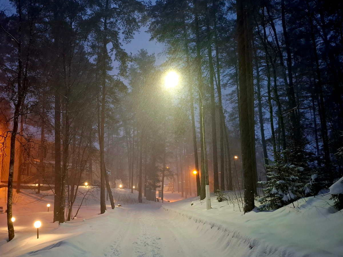 Фото автора