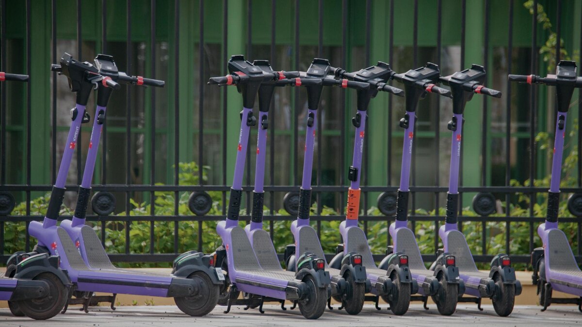    Фото: Svetlana Vozmilova/Global Look Press