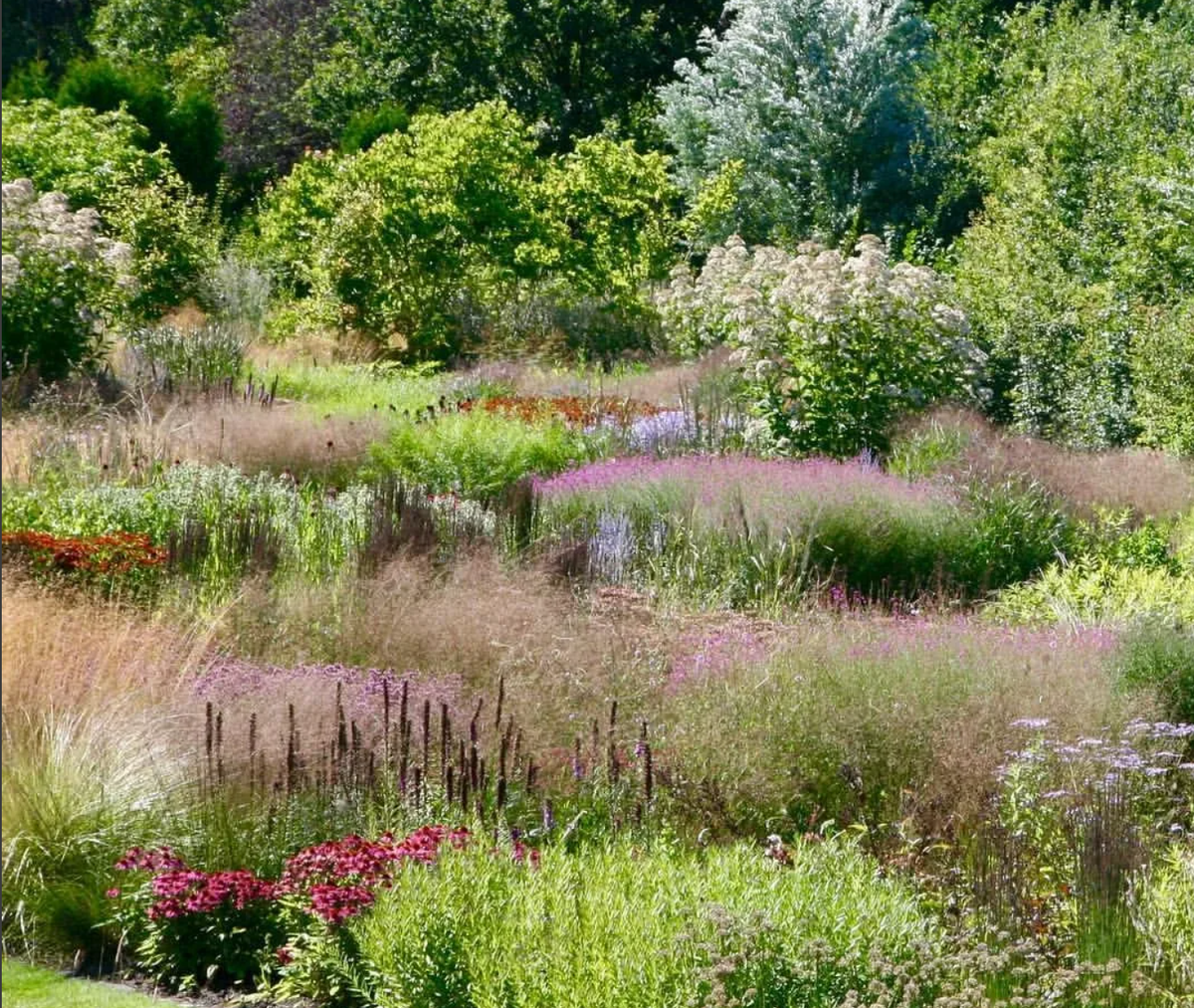 Naturgarten (от нем. Naturgarten — «естественный сад») — это экологический стиль в ландшафтном дизайне, который предполагает создание участка, максимально приближенного к естественным экосистемам. Такой сад имитирует природные ландшафты, где растения растут свободно, в соответствии с законами природы, а человек выступает не хозяином, а «соседом» природы.